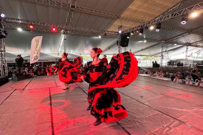 Fim de semana tem 17ª Festa do Vinho e Mostra de Folclore em São José dos Pinhais