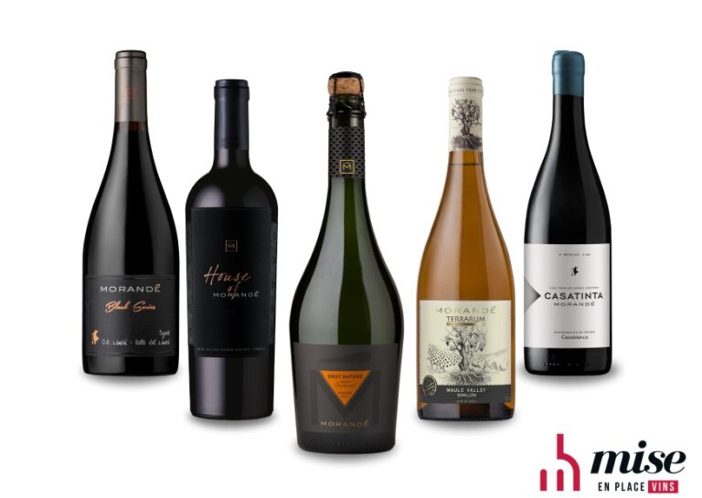 Novos vinhos Morandé no Brasil (foto montagem MKT)