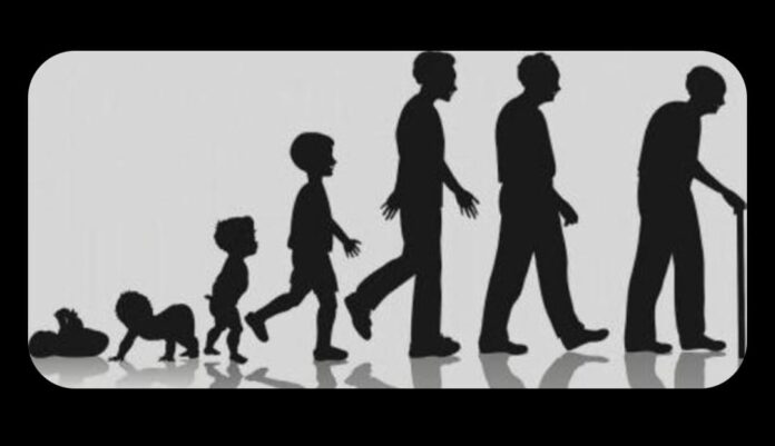 Vamos falar sobre viver melhor? (imagem ilustrativa free)