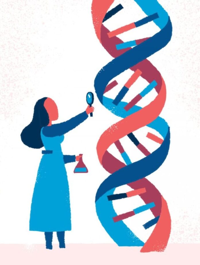 DNA e hábitos em busca da velhice saudável (imagem livre para utilização)
