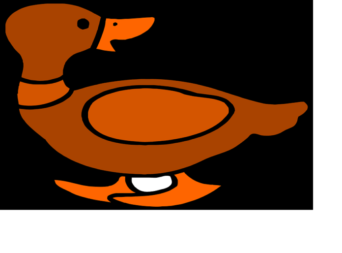 Não seja pato (Imagem livre para uso/creative commons)