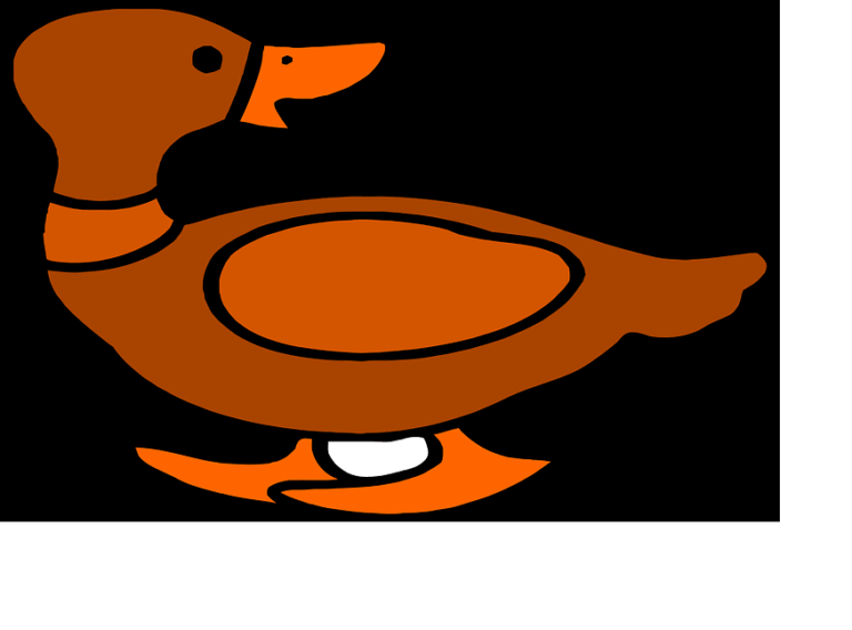 Não seja pato (Imagem livre para uso/creative commons)