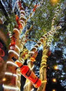 Arvore de aperol curitiba