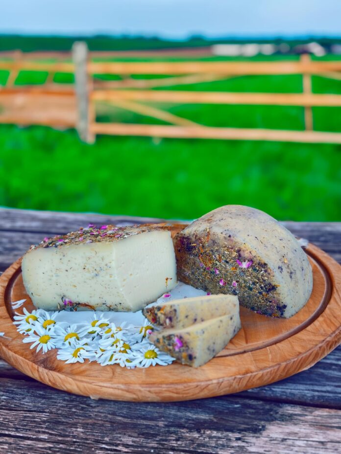Queijo Aroma do Campo (Foto: Thainá Liller)