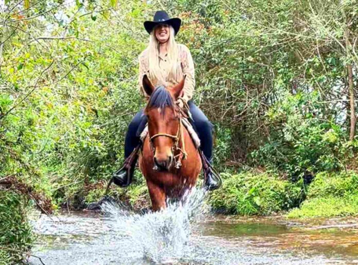 Roteiro country no Paraná