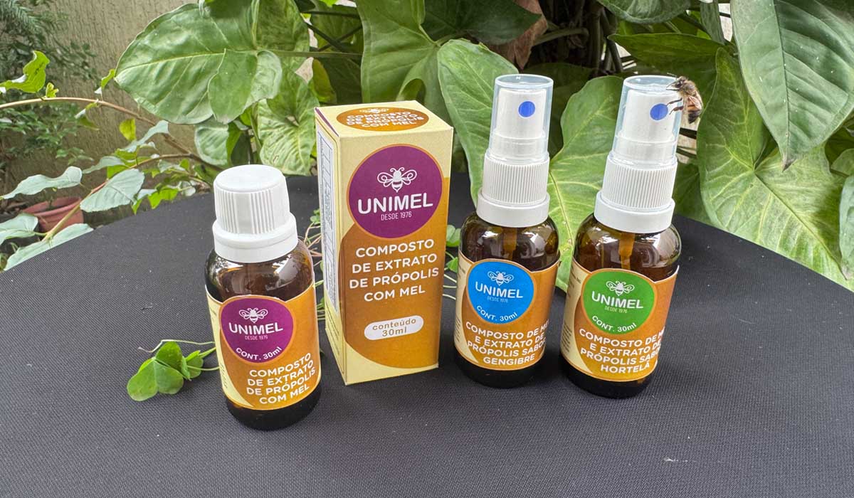 Opção 01: marca descentralizada e formas circulares no rótulos e na caixa