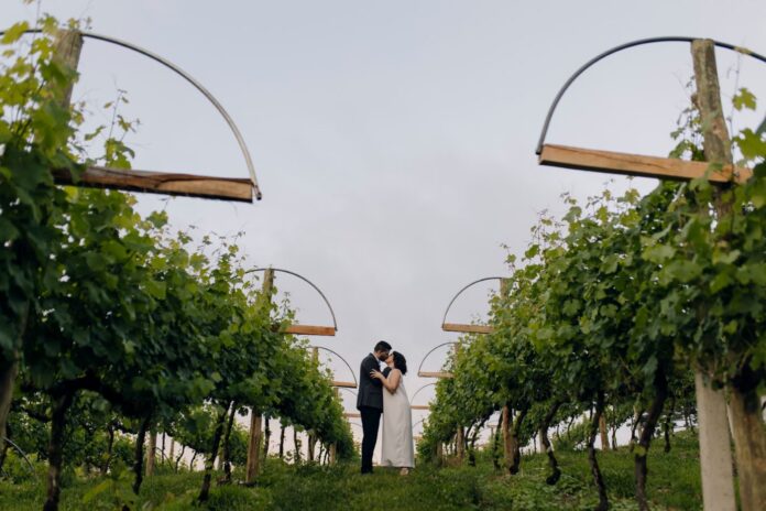 Noivos nos vinhedos do hotel-boutique Araucária (foto MKT Slaviero)