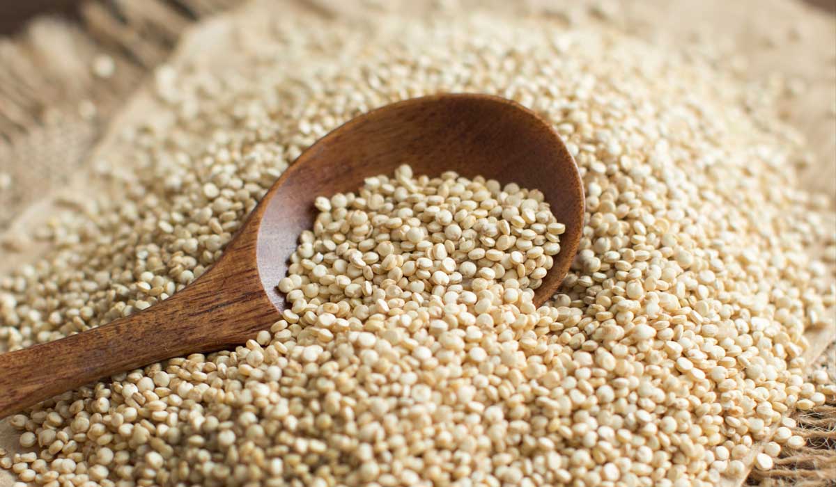 Amaranto – a semente sagrada asteca