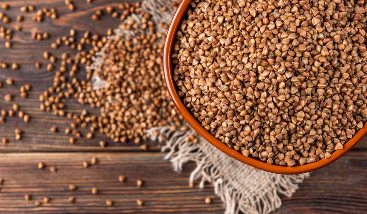 Sorgo – o brasileiro subestimado