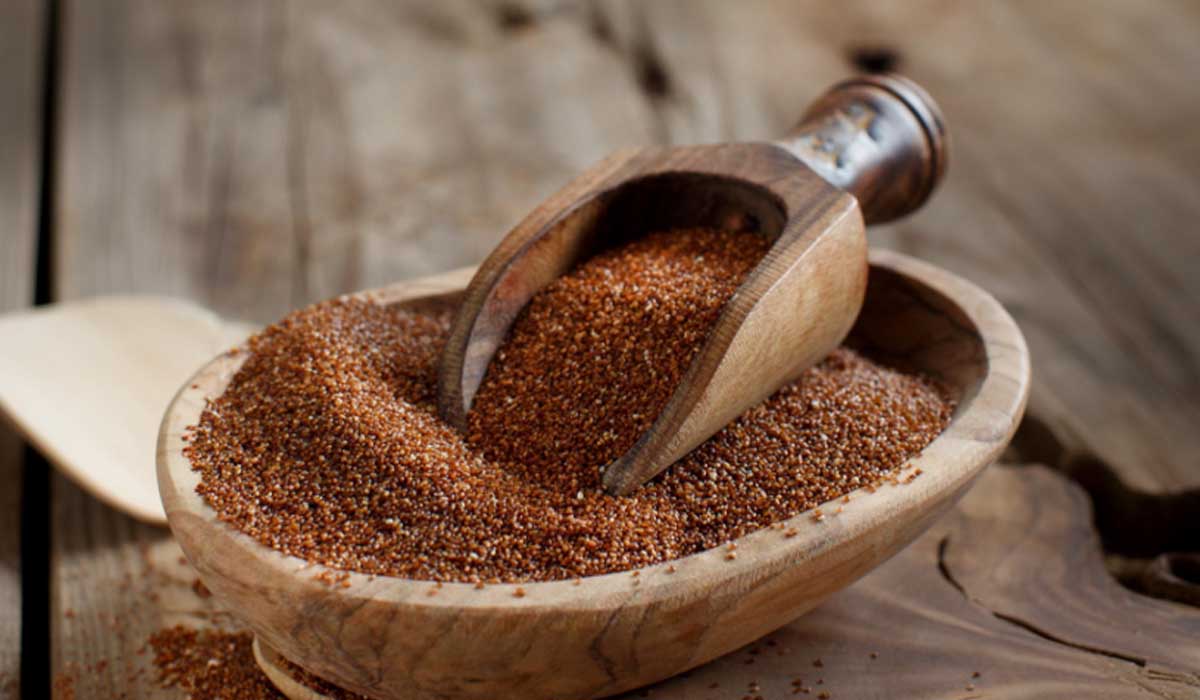 Teff – o rei etíope