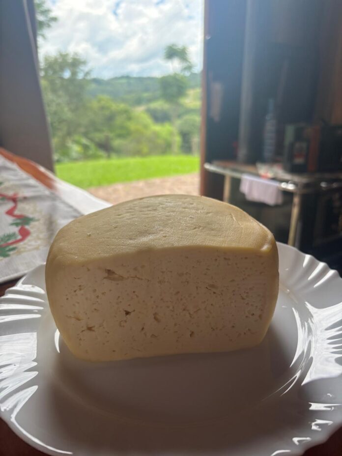 O Queijo da Família - Foto Luciana Matsuguma