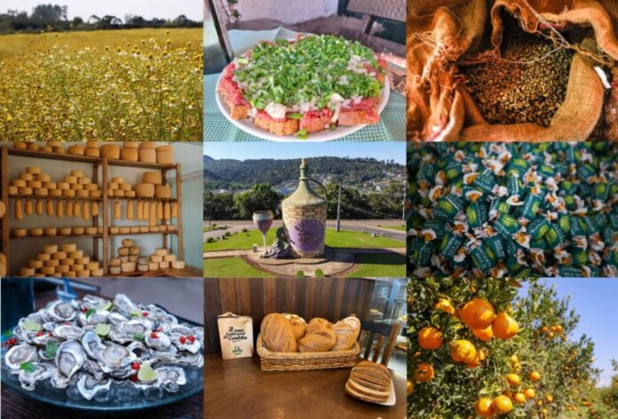 Produtos com Indicação geográfica (foto montagem Sebrae PR)