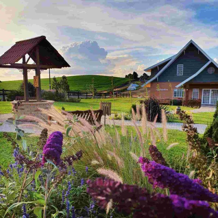 Queijaria HetDorp - Foto Paulo Ricardo Los