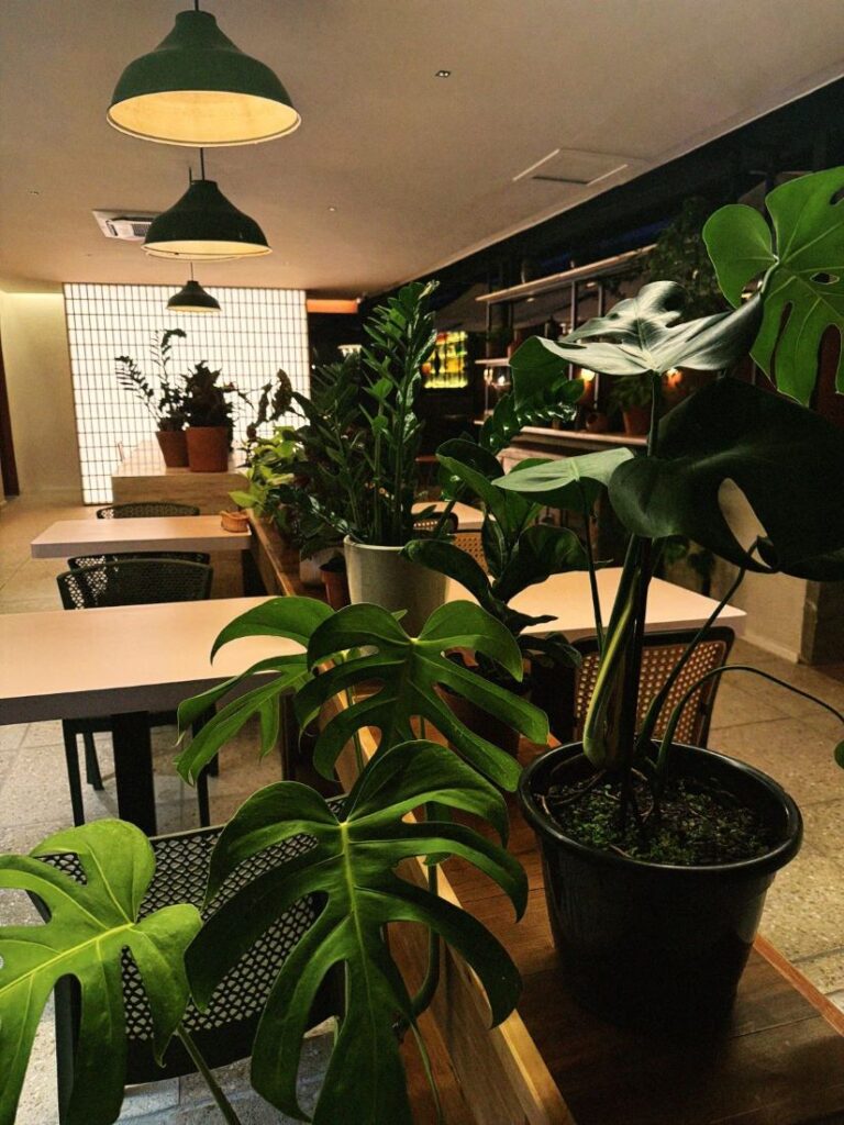 Ambiente do Floreria (foto Fernando Smak)