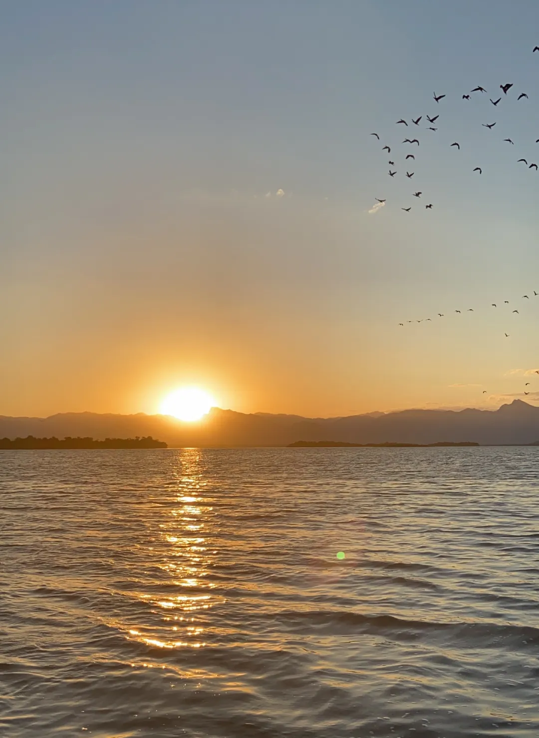 A revoada dos guarás é um dos passeios mais belos da Baía de Guaratuba.