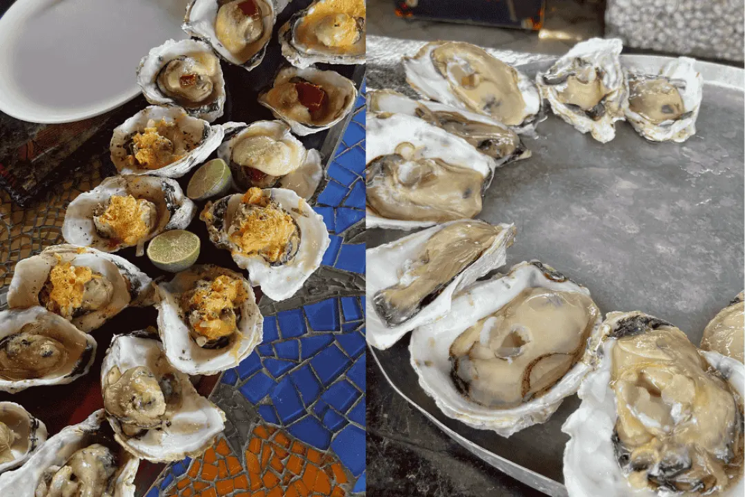 Ostras gratinadas e in natura, no Vivere Parvo, um dos restaurantes do Caminho do Cabaraquara, em Guaratuba.