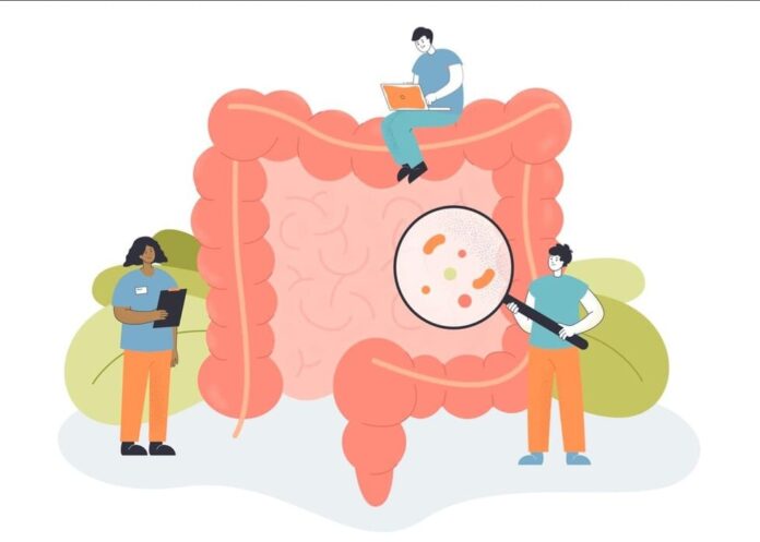 Viver melhor, Intestino e saúde