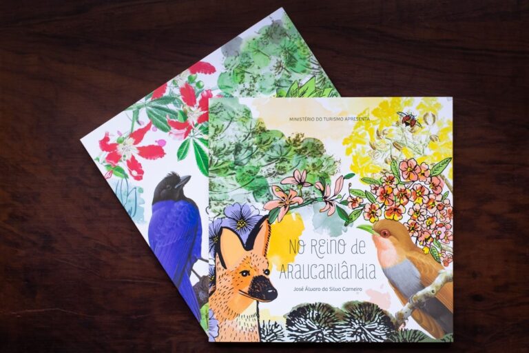Sábado, 07/02, tem distribuição gratuita de livros infantis no Jardim Literário do Hospital Pequeno Príncipe