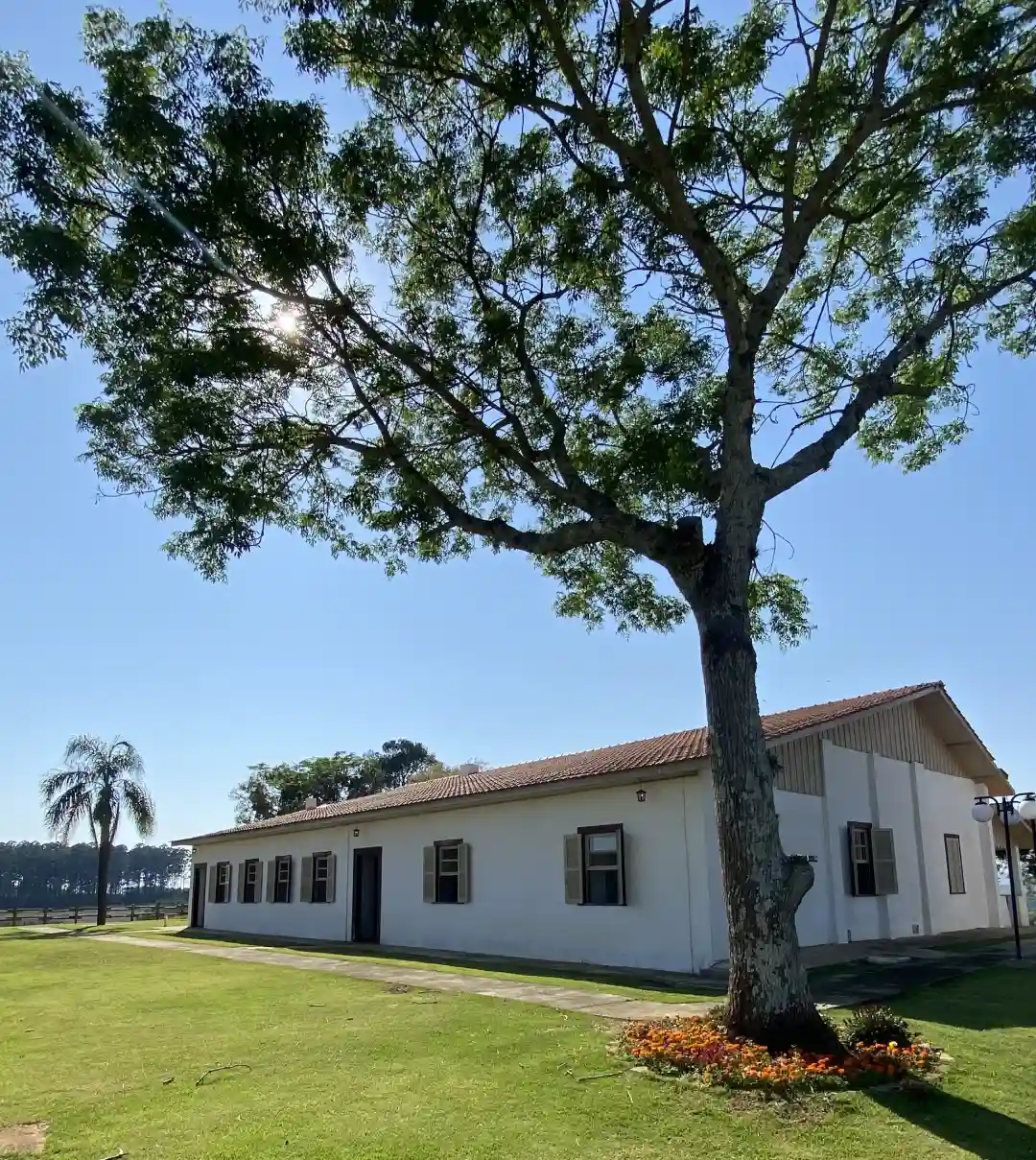 Fazenda Bela Visita: história da escravidão e da resistência dos quilombolas. 