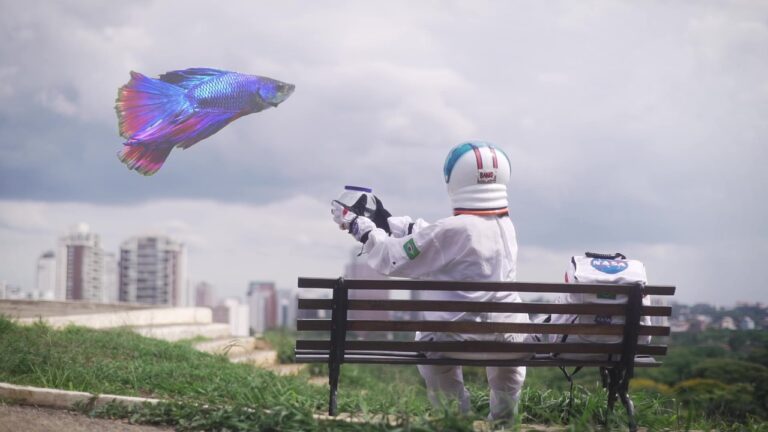 Exibição gratuita de curtas faz parte da Mostra Infantil do Festival do Minuto na CAIXA Cultural Curitiba