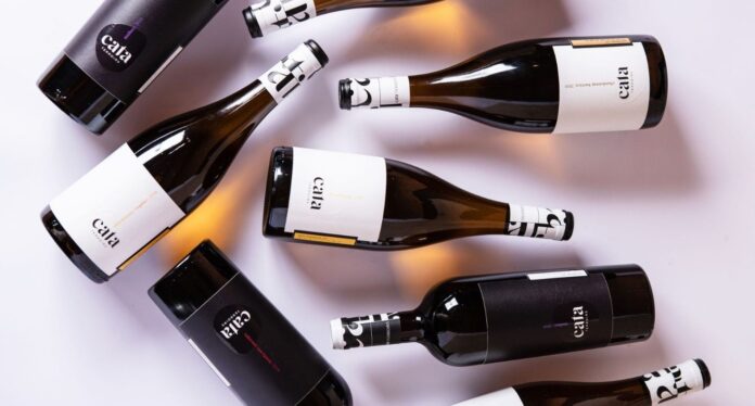 Vinhos da Cata Terroirs (foto Bia Braz)