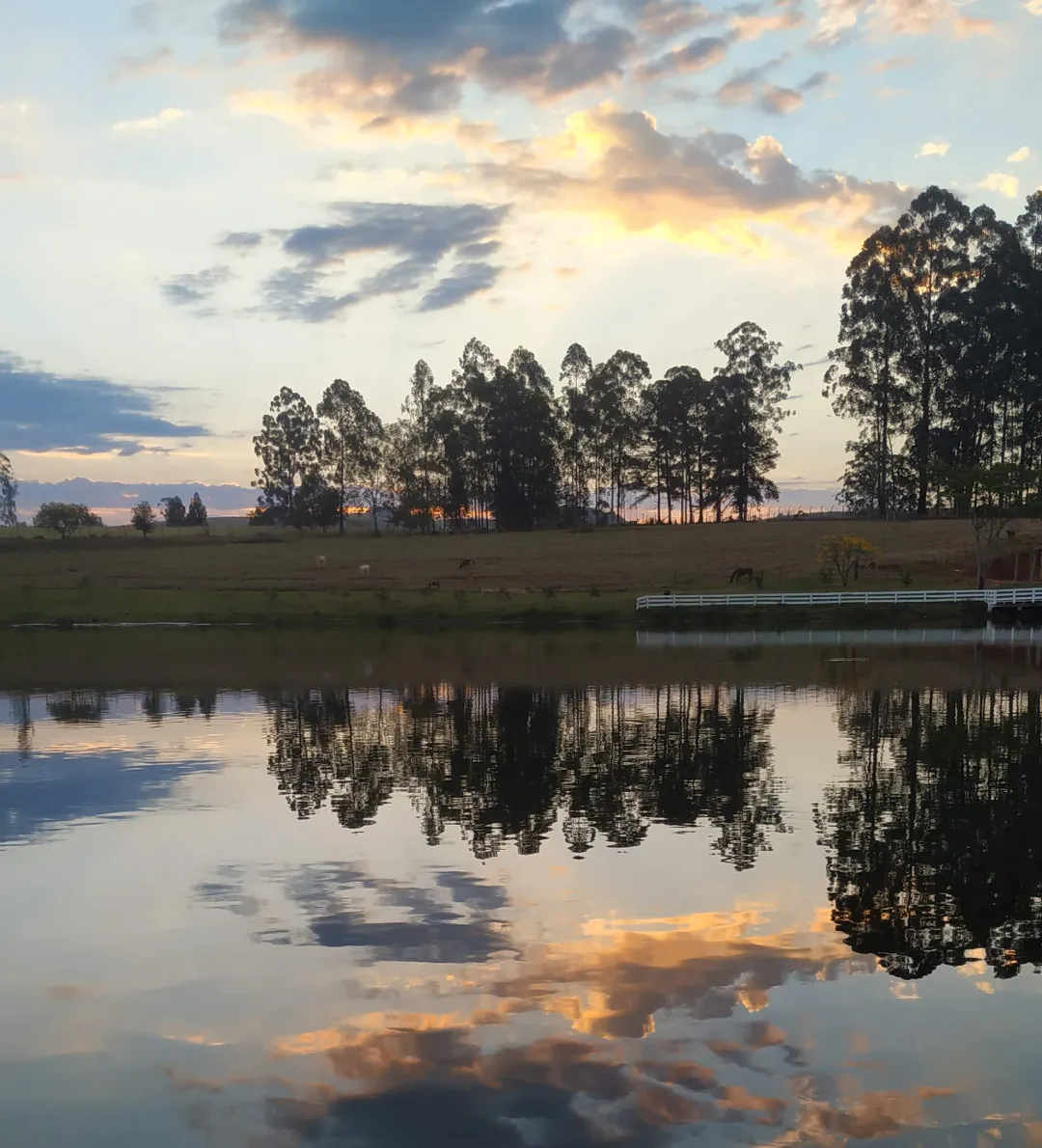 Esse foi um pôr do sol que apreciamos dentro do Centro de Lazer Bela Vista, com reflexo do céu e das árvores no lago. 