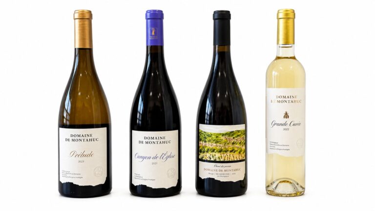 Vinhos Domaine de Montahuc (foto montagem/divulgação)