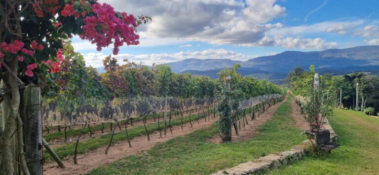 Quinta de Glaura em Minas Gerais (fotos Simone Meirelles)