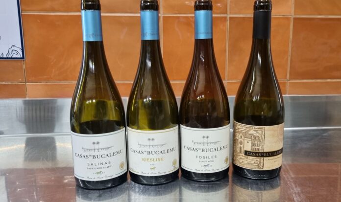 Vinhos Casas de Bucalemu (fotos Simone Meirelles)