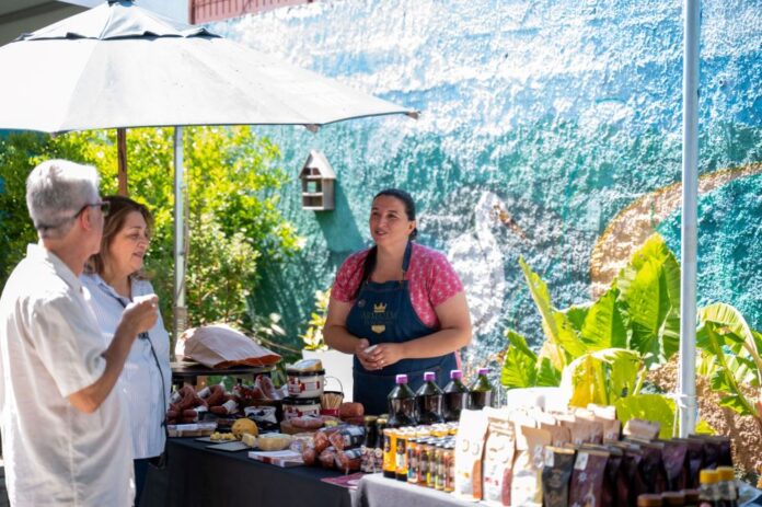 Feira Sou Sul 2026 - Fotos Inove